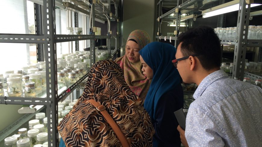 Kunjungan BPMERU Malaysia ke SITH Untuk Menjalin Kerjasama Riset