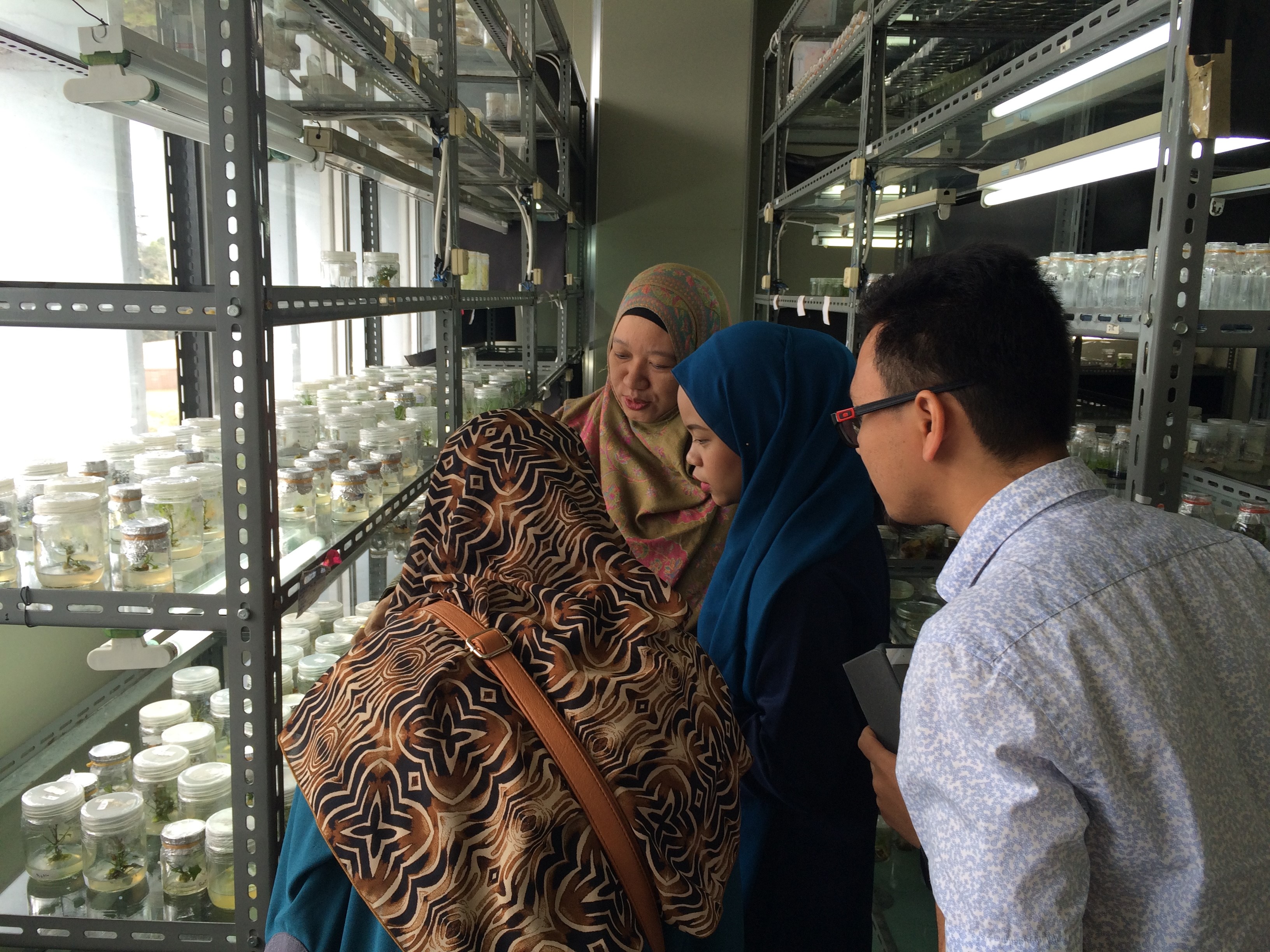 Kunjungan BPMERU Malaysia ke SITH Untuk Menjalin Kerjasama Riset